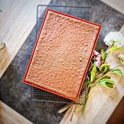 Biscuit Joconde au Cacao