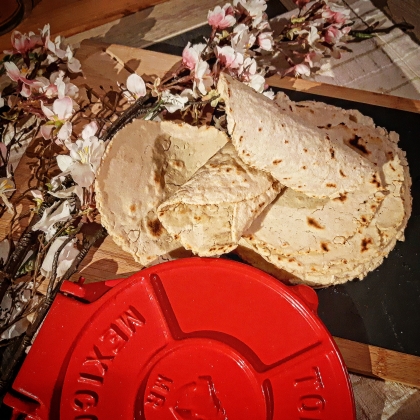 Tortilla de Maïs