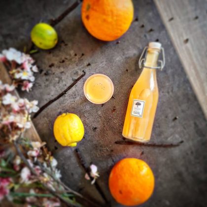 Vin d&rsquo;Orange de mon Grand-Père