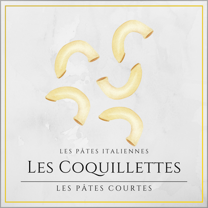 Coquillette