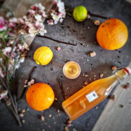 Vin d&rsquo;Orange à la Manière d&rsquo;un Hypocras
