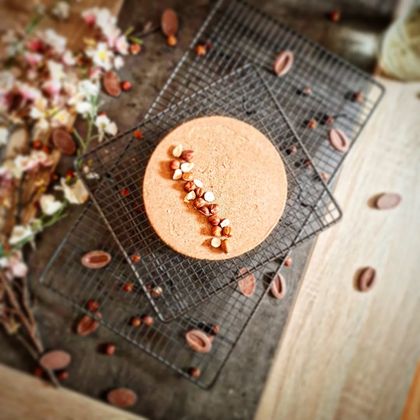 Nocciola Entremets Chocolat au Lait et Noisettes