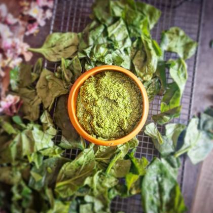Pesto d&rsquo;épinard, Parmesan et Noisettes