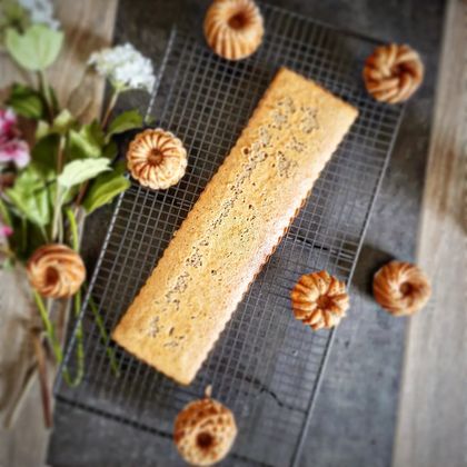 Biscuit Pain d’Épices pour entremets