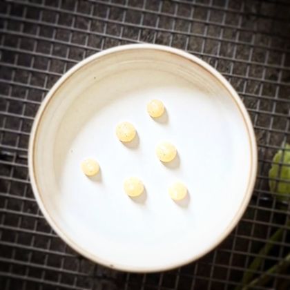 Gel de Poire et Agrumes