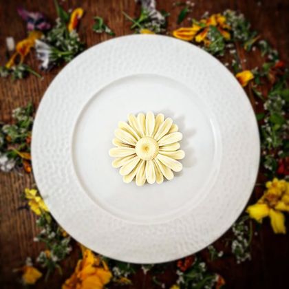 Appareil à Panna Cotta traditionnelle